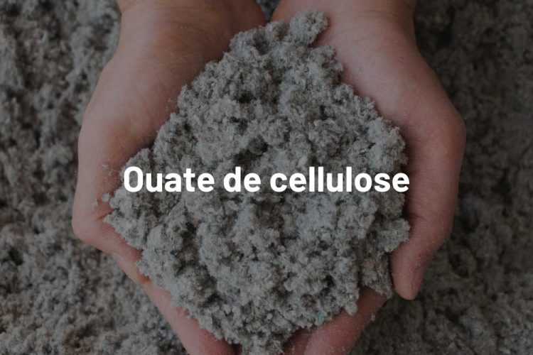 Ouate-de-cellulose