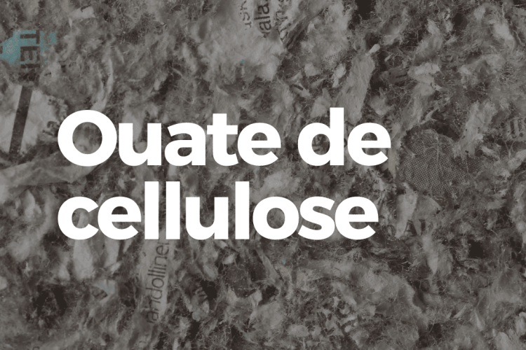 Ouate de cellulose