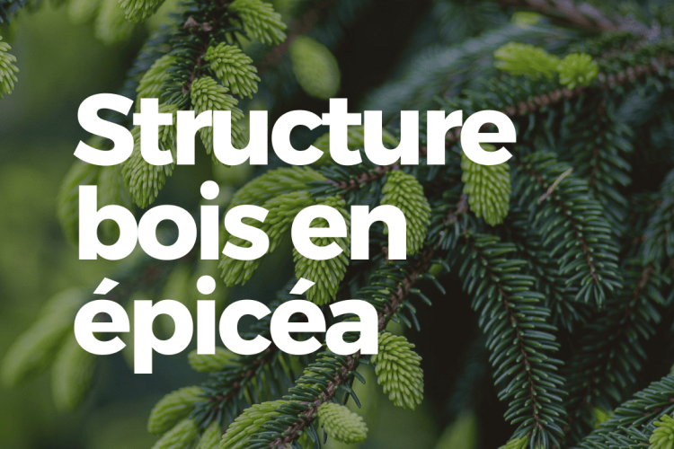 Structure bois en épicéa