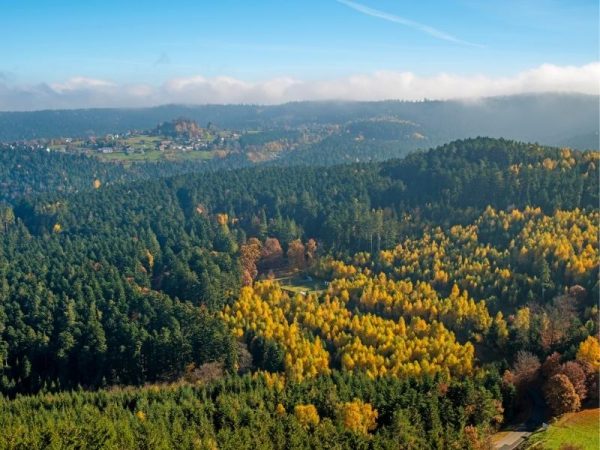 chalet dans les Vosges